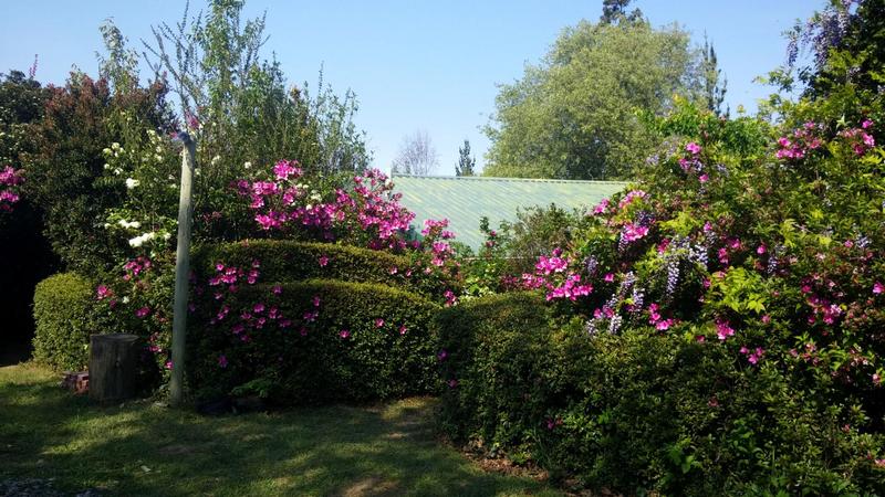 3 Bedroom Property for Sale in Hogsback Eastern Cape